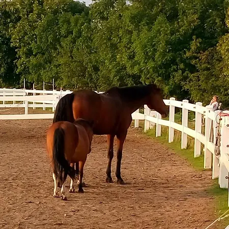 Blueapartment Apartment *